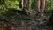 A pair of travelers walk along a narrow mountain path in the forest. In the frame, only the legs are visible, the rear