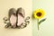 Pair of trendy women`s shoes and sunflower