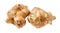 Pair of tubers of jerusalem artichoke cutout