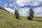 Pair of underground moai on the extinct volcano Rano Raraku