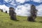 Pair of underground moai on the Rano Raraku hill