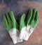 A Pair of Used Garden Work Gloves on a Rustic Slate Background