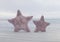 Pair of violet starfish on sandy beach 3d illustration