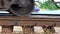 A pair of wheels truck of the locomotive rides on rails. close-up.