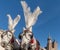 Pair of white horses with the Saint Mary`s Basilica in the background in the historic center of Krakow, Poland on a beautiful sunn