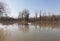 A pair of white swans on the river on a sunny February day