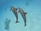 Pair of wild spinner dolphins