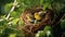 A pair of Wilson Warblers building a nest in a bush. AI Generative