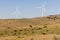 A pair of windmills on a clear blue sky in the Sierra del Merengue next to a meadow with cows in Plasencia.