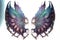 a pair of wings with intricate designs on them, painted in purple and blue colors, on a white background, with a blue bord