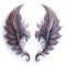 a pair of wings with intricate designs on them, on a white background, are shown in the shape of a wing, with a spiral design of