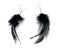 A pair of women\'s earrings their feathers