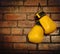 Pair of yellow boxing gloves
