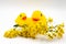 Pair of yellow ducks with red beaks baby bath toy and yellow flowers isolated on white background