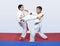 Paired exercises karate athletes with white and red sash