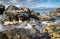 Paisaje deHuiros y algas marinas del borde costero de Caldera