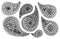 Paisley buta monochrome pattern set doodle vector