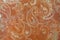 Paisley patterned background in shades brown and white.