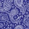 Paisley seamless pattern. Abstract indian background