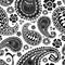 Paisley, turkish cucumber. Black and white hand-drawn pattern. V