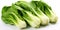 Pak choi cabbage close-up on a white background. Generative AI