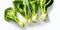 Pak choi cabbage close-up on a white background. Generative AI