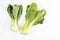 Pak Choi Vegetables Isolated Above White Background