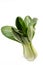 Pak Choi Vegetables Isolated Above White Background