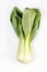Pak Choi Vegetables Isolated Above White Background