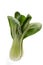 Pak Choi Vegetables Isolated Above White Background