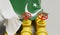 Pakistan flag covering an oil and gas fuel pipe line. Oil industry concept. 3D Rendering