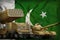 Pakistan heavy military armored vehicles concept on the national flag background. 3d Illustration
