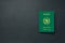 Pakistan Passport on dark background with copy space - 3D Illustration