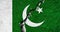 Pakistan political divisions, election, crisis, conflicts concept