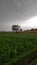 Pakistani village with cloud