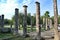 Palaistra remains at ancient Olympia