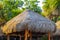 Palapa thatched roofs palms parasols sun loungers beach resort Mexico