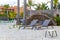 Palapa thatched roofs palms parasols sun loungers beach resort Mexico