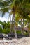 Palapa thatched roofs palms parasols sun loungers beach resort Mexico