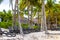 Palapa thatched roofs palms parasols sun loungers beach resort Mexico