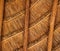 Palapa tropical Mexico wood cabin roof detail