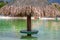 Palapa on the water by the beach