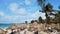 Palapas and Lounge Chairs Along The Beach