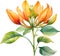 Palash flower, watercolor painting of Palash flower. AI-Generated.