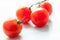 Palatable fresh tomatoes