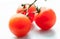 Palatable fresh tomatos