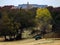 Palatial house almost hidden in trees on hill with country pasture and fence and tractor in foreground