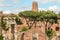 Palatin Garden visit at Roma