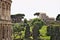The Palatine Hill is in the foreground a detail of the Colosseum. The hill is a large open-air museum of ancient Rome. Pictured
