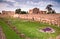 Palatine Stadium ruins background Domus Augustana ruins in Palatine Hill at Rome